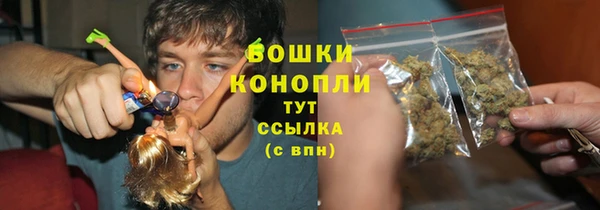ПСИЛОЦИБИНОВЫЕ ГРИБЫ Новозыбков