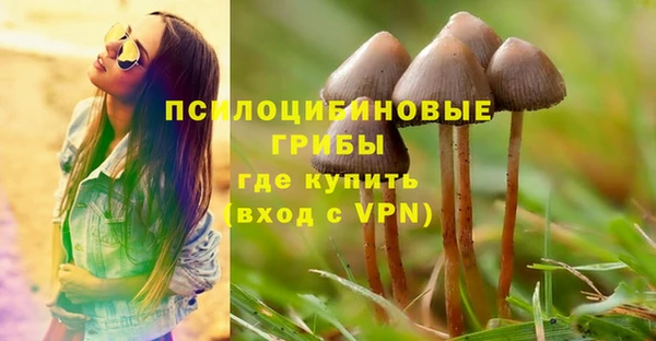 гидропоника Нязепетровск